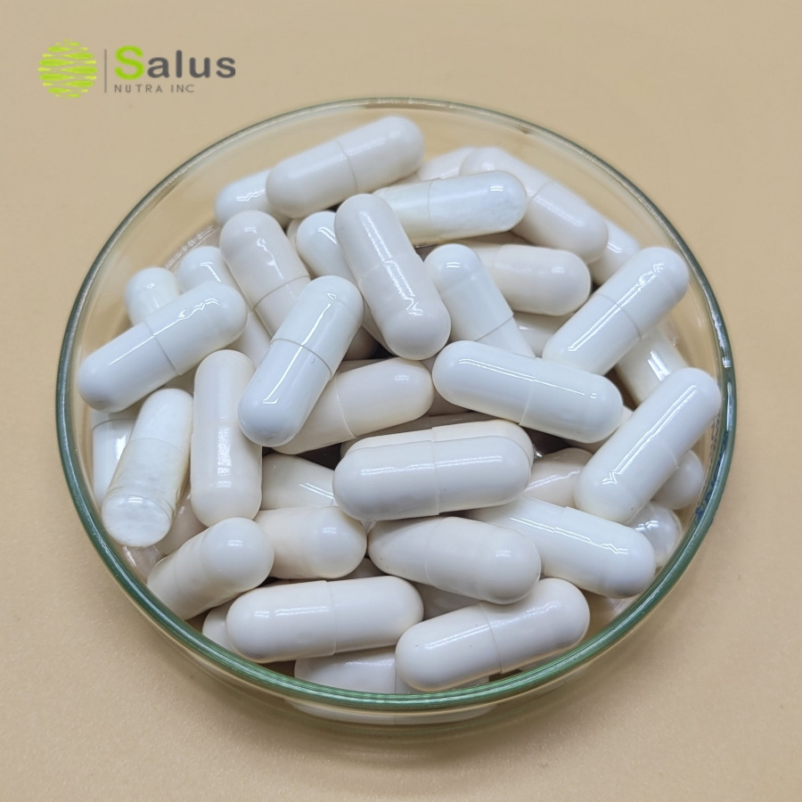 L-Tyrosine Capsules L Tyrosine Supplement 500mg 60 Vegan Capsules OEM Private Label For Memory,Attention