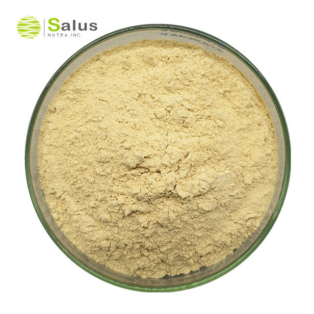 SNI Hot Sale Yeast Extract Beta Glucan Powder 70% 80%