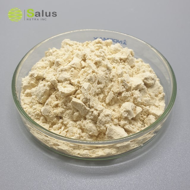 High Quality Soy Protein Isolate Powder