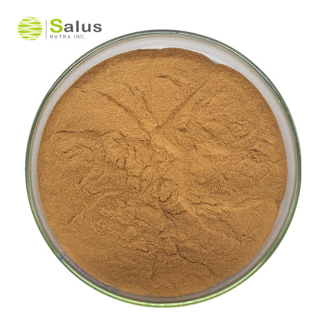 Natural Polysaccharide 30% Dictyophora Indusiata Mushroom Extract Powder