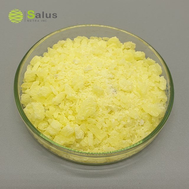 High Quality Best Price Gelatin