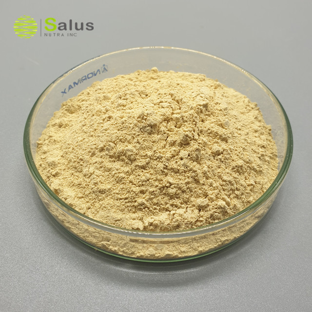 SNI Hot Sale Yeast Extract Beta Glucan Powder 70% 80%