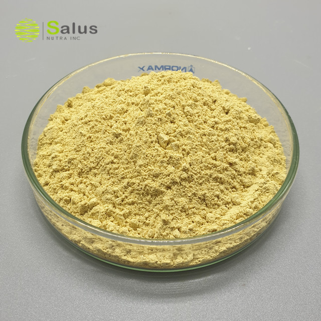 Natural Rosmarinic Acid 5%-95% Rosemary Leaf Extract Powder