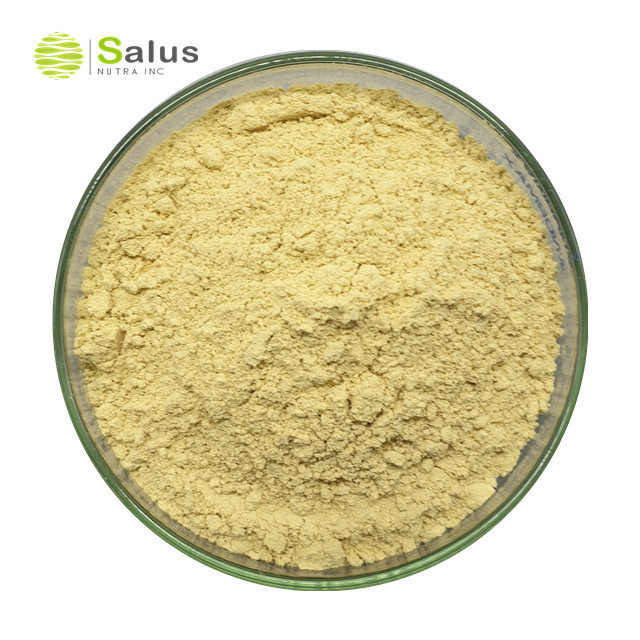 Natural Rosmarinic Acid 5%-95% Rosemary Leaf Extract Powder