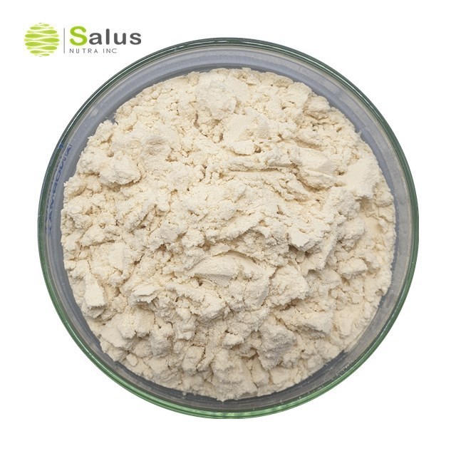 High Quality Soy Protein Isolate Powder