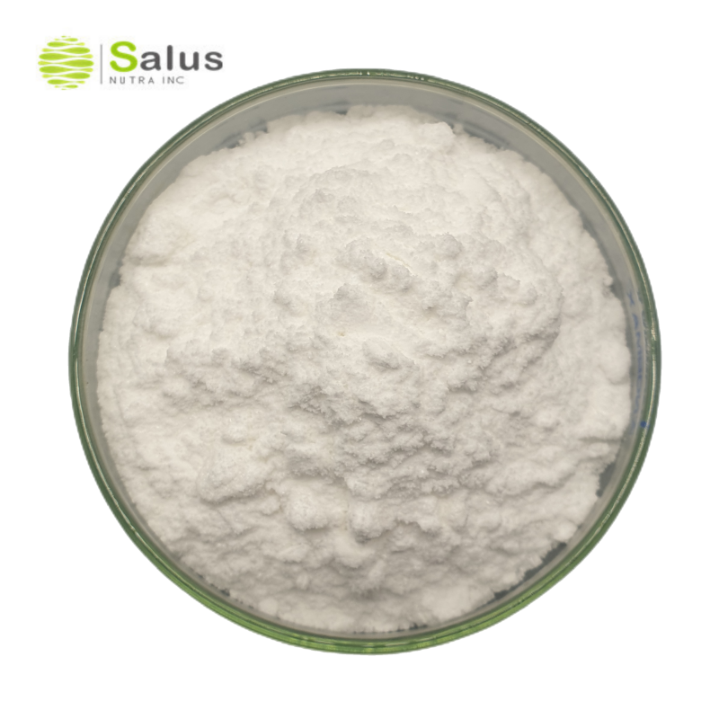 Best Price CAS 60-82-2 98% Phloretin powder