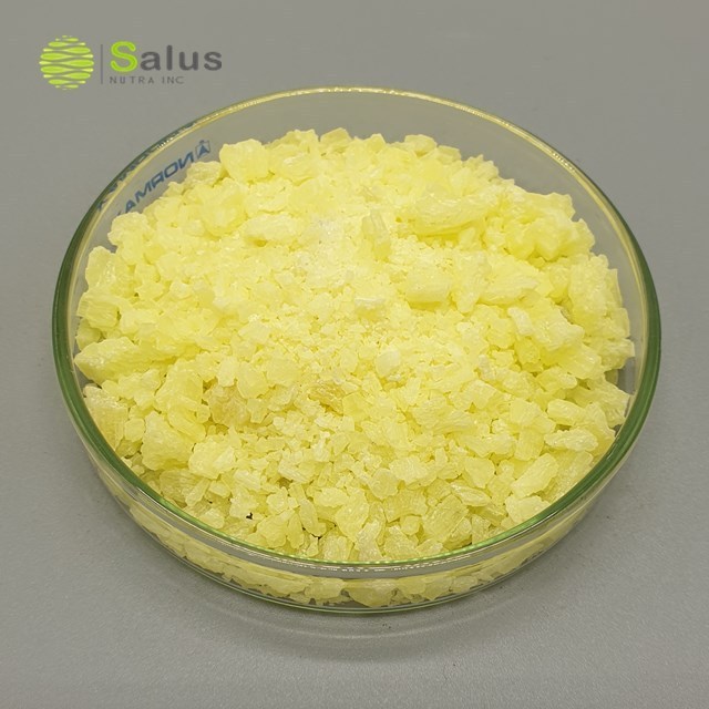 High Quality Best Price Gelatin