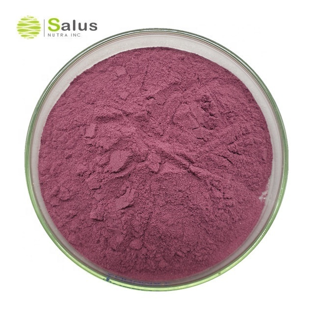 Best Price Aronia Fruit Powder