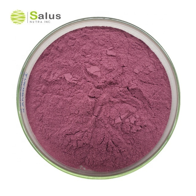 Best Price Aronia Fruit Powder