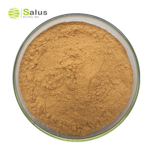 Factory Wholesale Polyphenols 40% Isoorientin 2% Bamboo Extract Powder