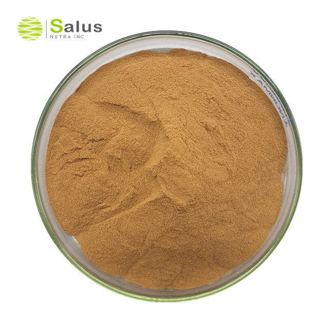 Natural Polysaccharide 30% Dictyophora Indusiata Mushroom Extract Powder