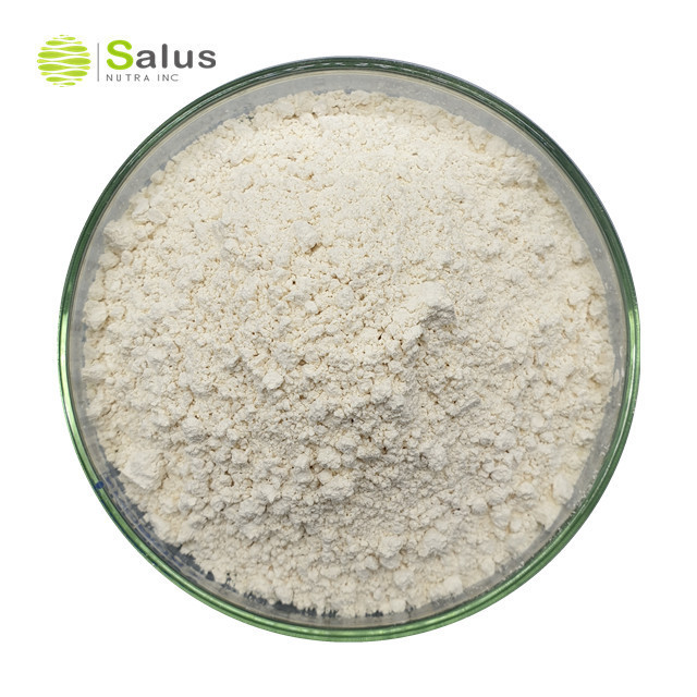 SALUS Wholesale 90% Konjac Glucomannan Powder