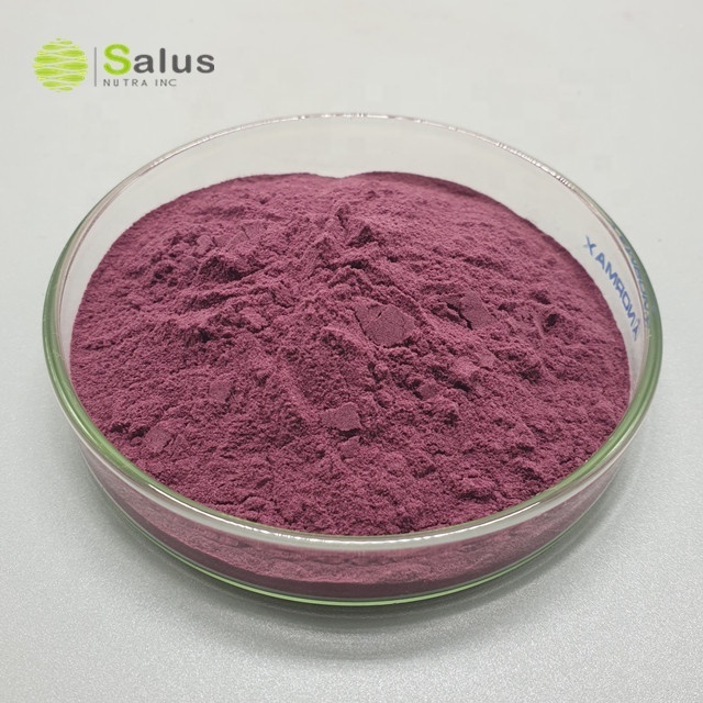 Best Price Aronia Fruit Powder