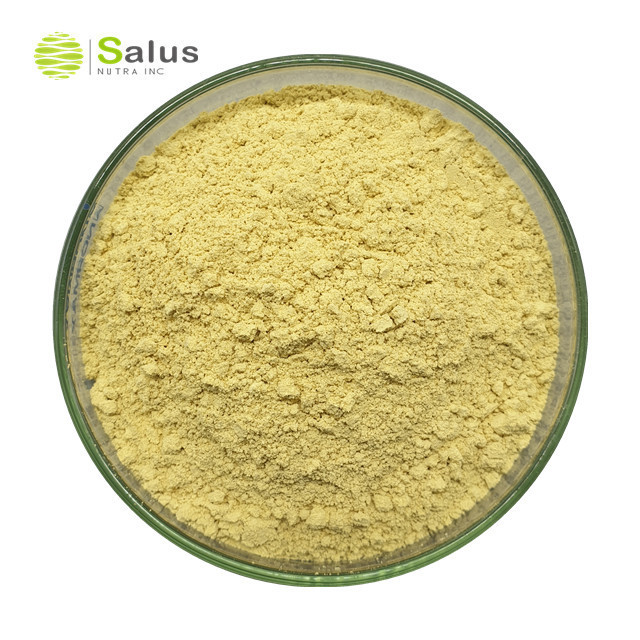 Natural Rosmarinic Acid 5%-95% Rosemary Leaf Extract Powder