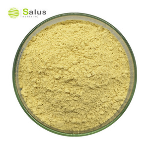 Natural Rosmarinic Acid 5%-95% Rosemary Leaf Extract Powder