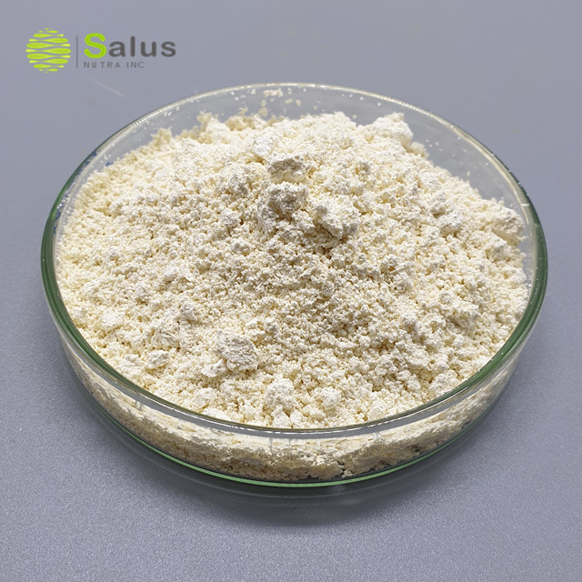 SALUS Wholesale 90% Konjac Glucomannan Powder