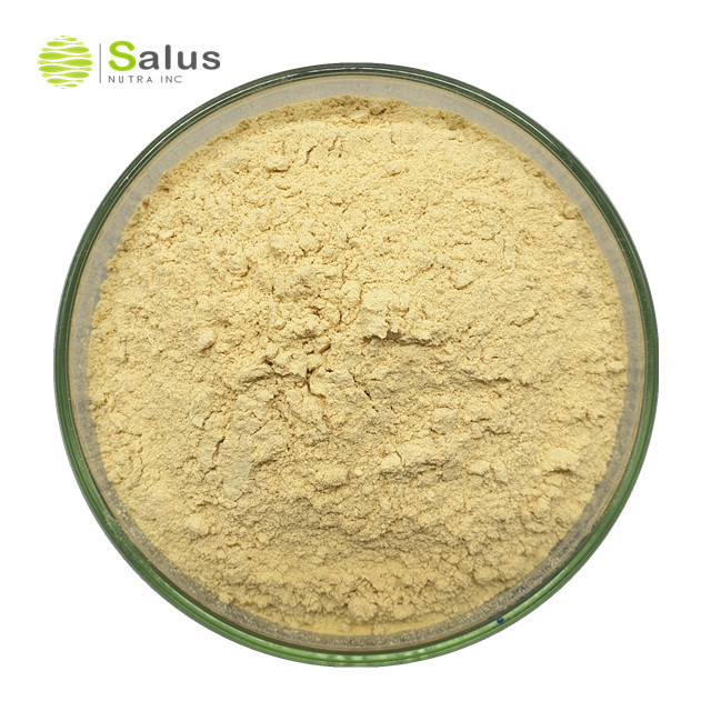 SNI Hot Sale Yeast Extract Beta Glucan Powder 70% 80%