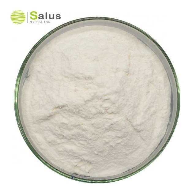 Natural White Kidney Bean Extract Powder