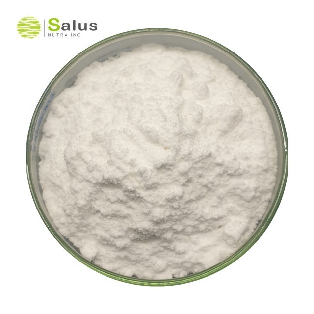 Best Price CAS 60-82-2 98% Phloretin powder