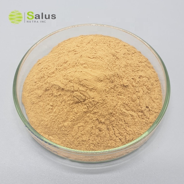 Best Price Withanolide 2.5% 5% 10% Ashwagandha Root Extract Powder