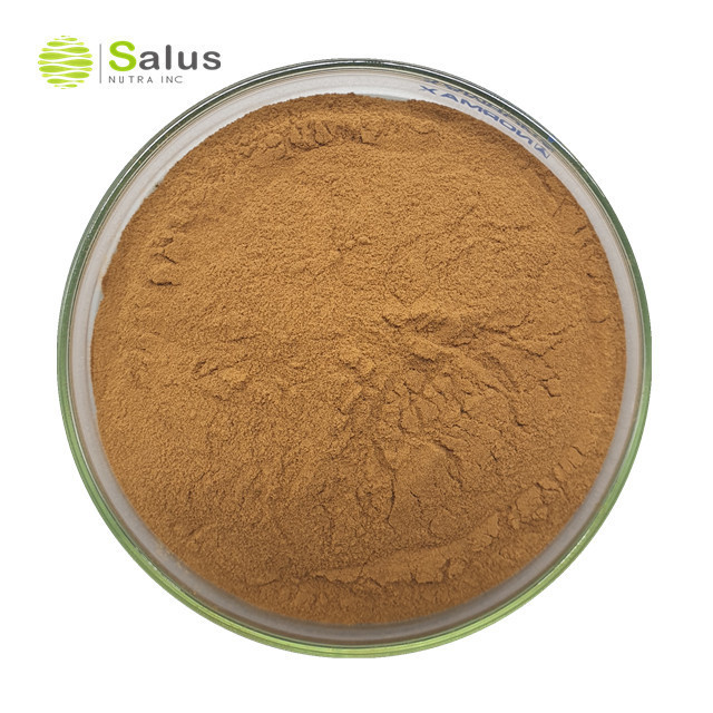 Natural  Chlorogenic Acid 25% 50% Eucommia Ulmoides Extract