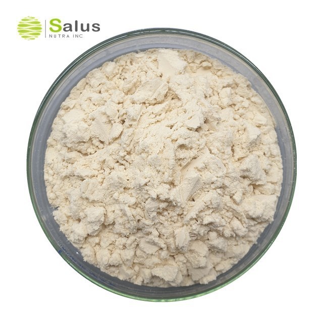 High Quality Soy Protein Isolate Powder