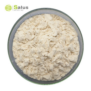 High Quality Soy Protein Isolate Powder