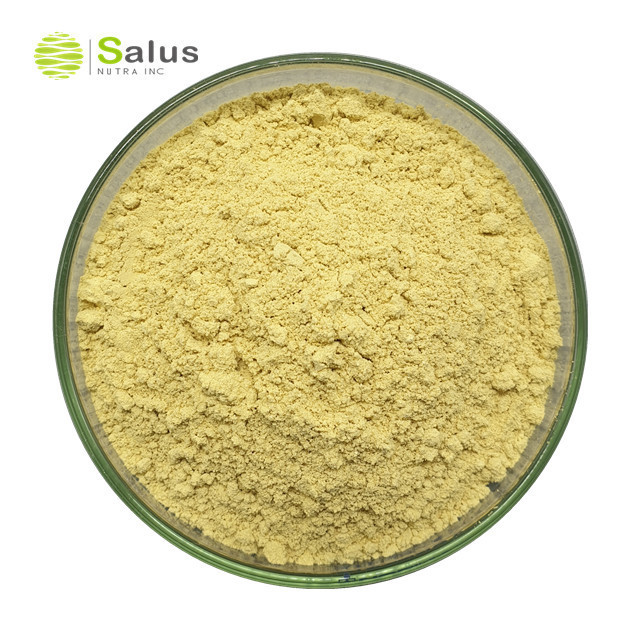 Natural Rosmarinic Acid 5%-95% Rosemary Leaf Extract Powder