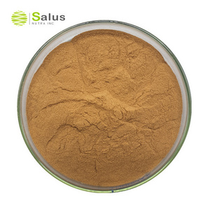 Natural Polysaccharide 30% Dictyophora Indusiata Mushroom Extract Powder