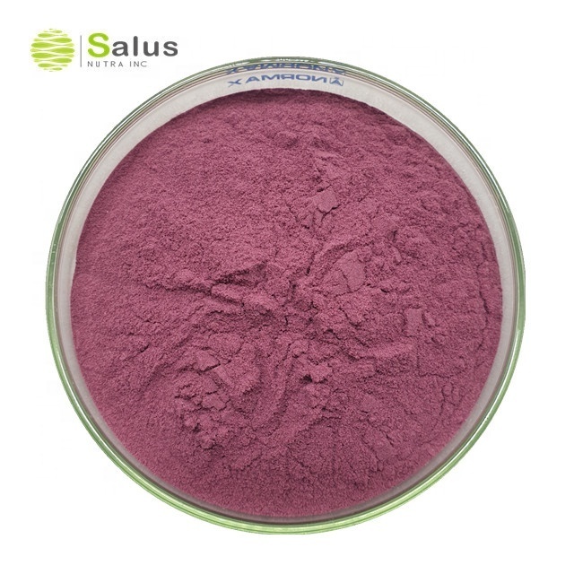 Best Price Aronia Fruit Powder