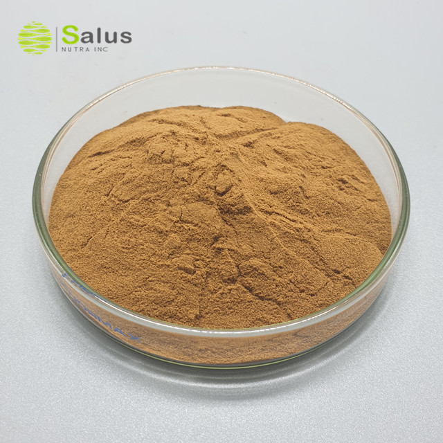 Natural Polysaccharide 30% Dictyophora Indusiata Mushroom Extract Powder