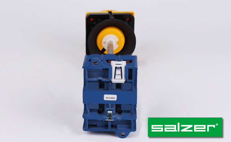 Salzer SAA63 63Amp AC OFF-ON 3 Pole Multi Padlock Switch door lock switch isolator disconnect switch (CE Certificate)