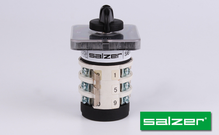 Salzer SAB16 16 Amp OFF-R-S-T 4 Position 61325 Ammeter Rotary cam Switch  (CE Certificate)