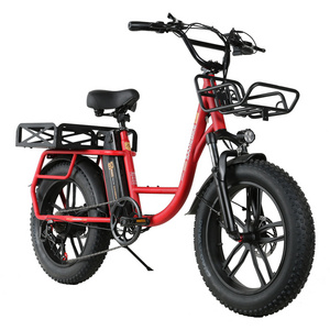 20" High carbon steel electric-cargo-bike 48V 12.5Ah Lithium Battery electric bike for sale