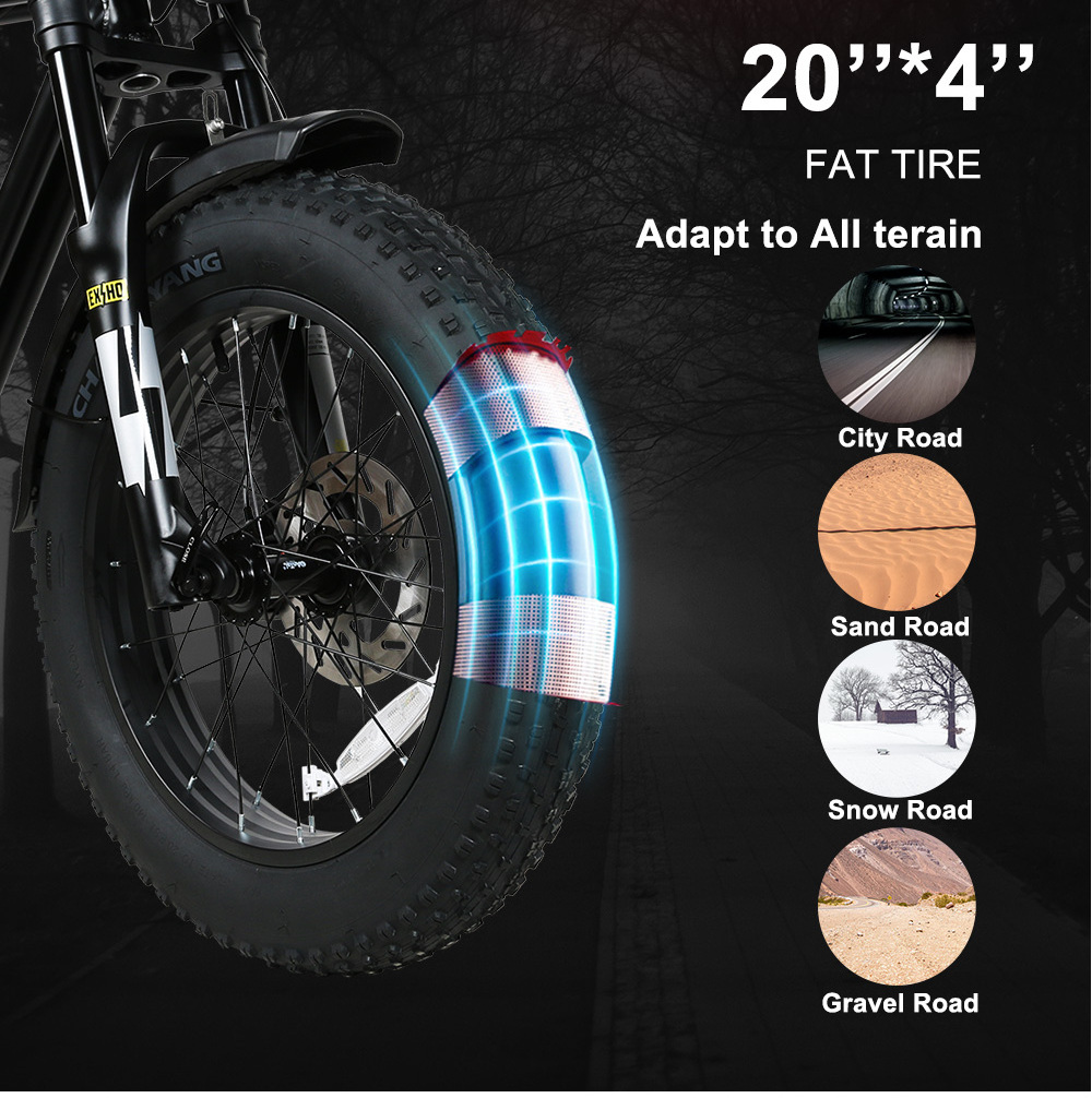 New arrival super 1000w 48V 73 lithium battery Hydraulic Disc Brake retro fat tire ebike electric mountain bike