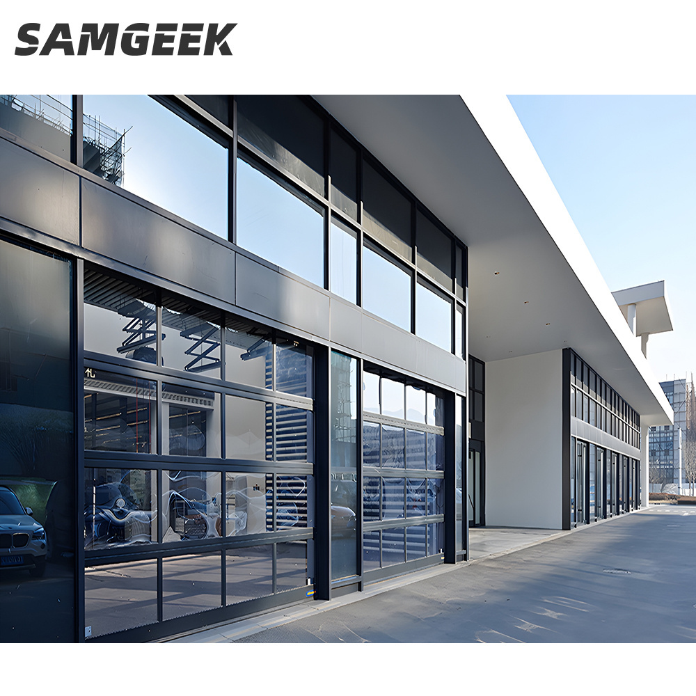 Residential Modern Low Coat Electric Insulated Black Sectional Full View Mirrored Frameless Glass Garage Door