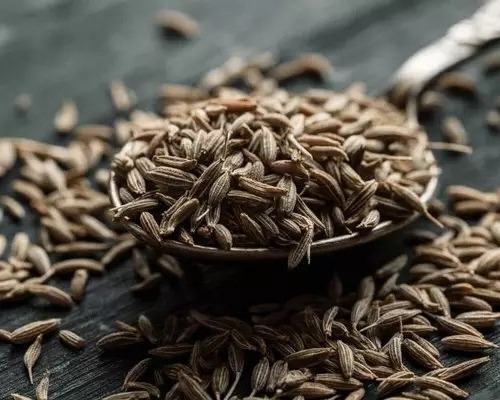 100% Pure Organic Cumin Best Selling Brazil Seasoning Cumin Spice and Herbs at Wholesale Price For Export Sale