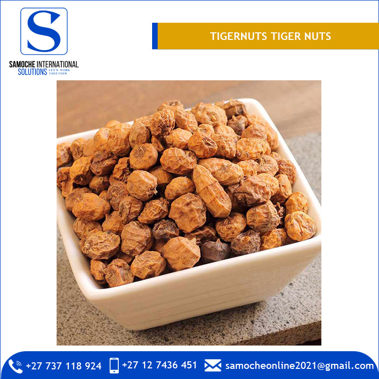 High Quality Tigernuts TIGER NUTS for Export Market