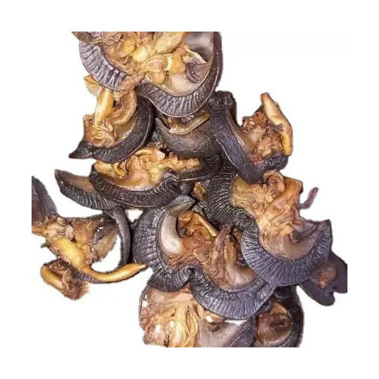 Cheapest price dried African Giant Snails/Frozen Dried Snails, DRIED GIANT AFRICAN SNAILS Discount price