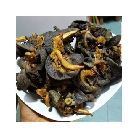 Cheapest price dried African Giant Snails/Frozen Dried Snails, DRIED GIANT AFRICAN SNAILS Discount price