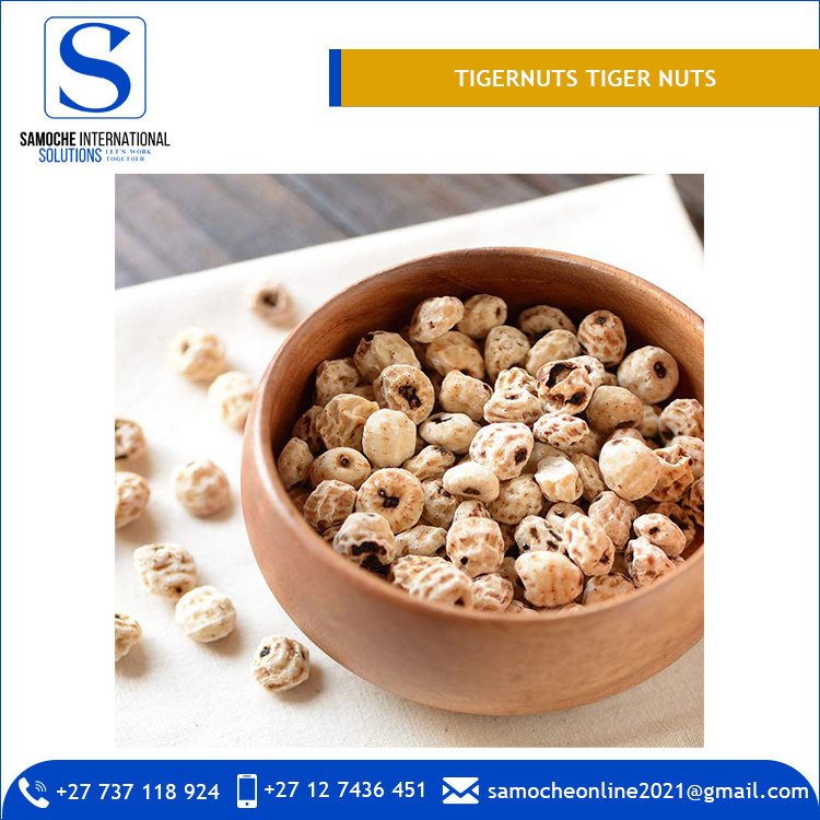 High Quality Tigernuts TIGER NUTS for Export Market