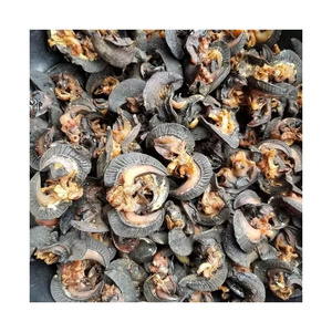 Cheapest price dried African Giant Snails/Frozen Dried Snails, DRIED GIANT AFRICAN SNAILS Discount price