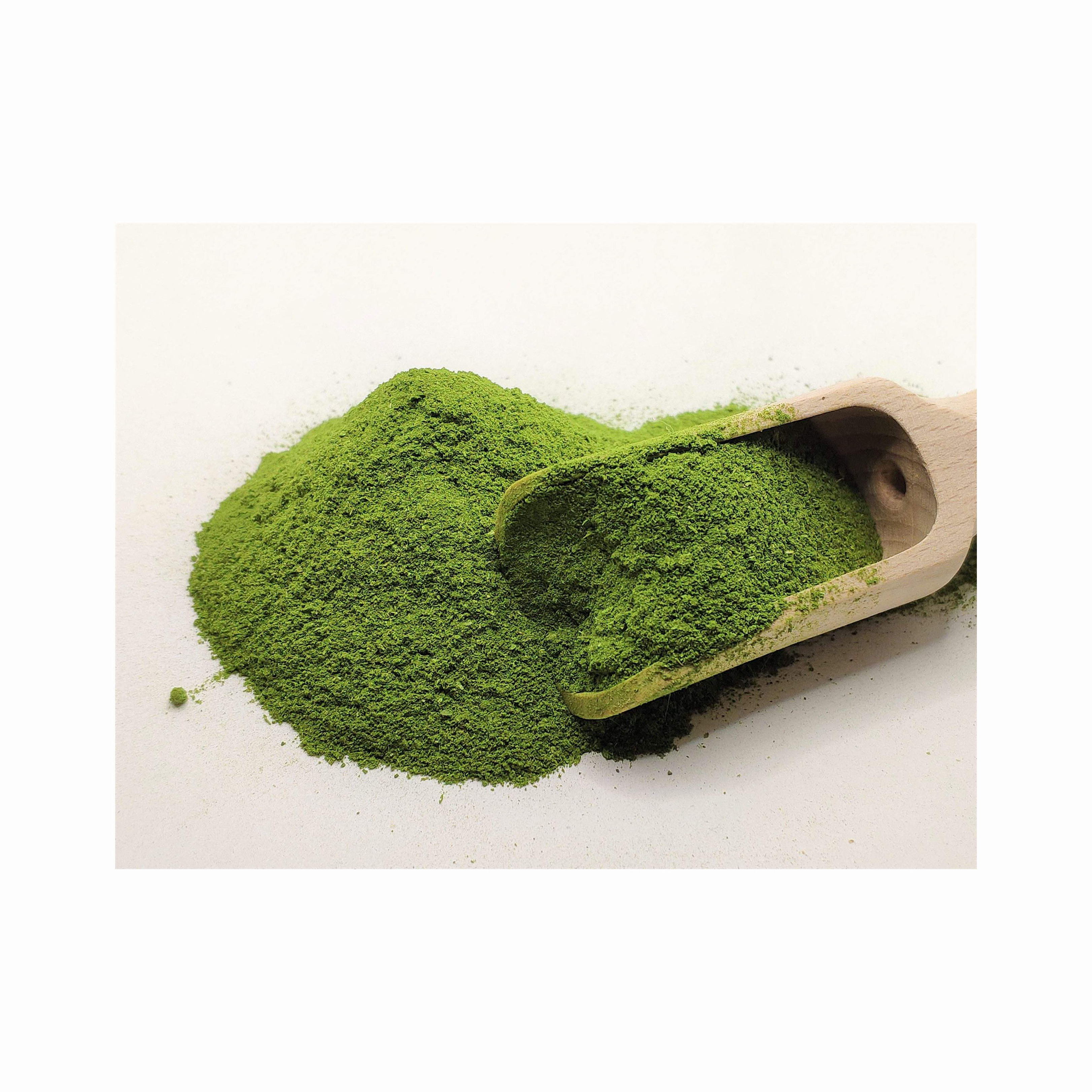 Vegetable Powder spinach extract spinach powder