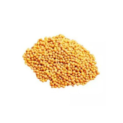 Top Quality Rice bran for animal feed exporting with the most competitive price