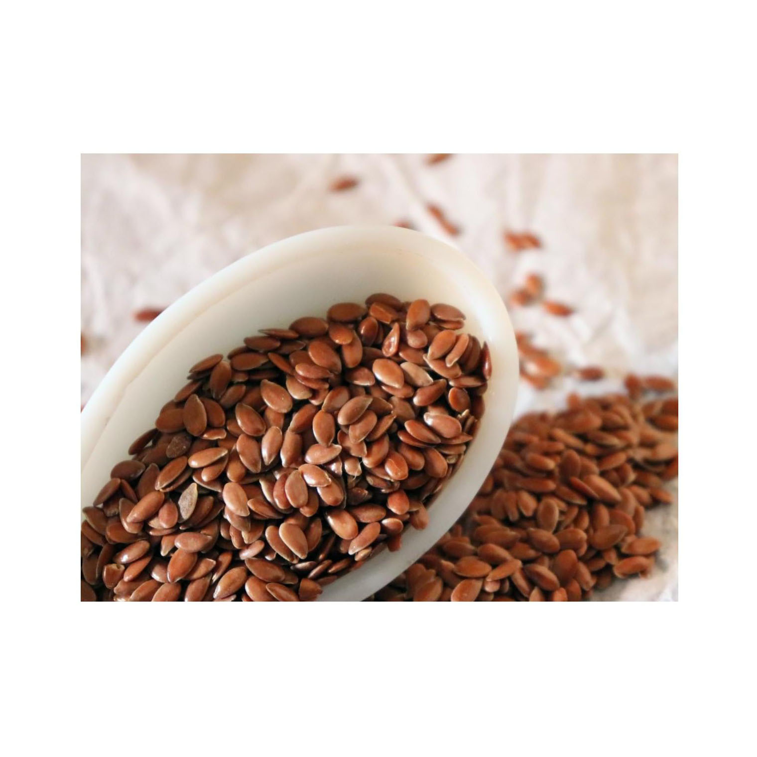 Wholesale All-purpose Oil flax seeds organic nutrition for animals feed plants bulk items