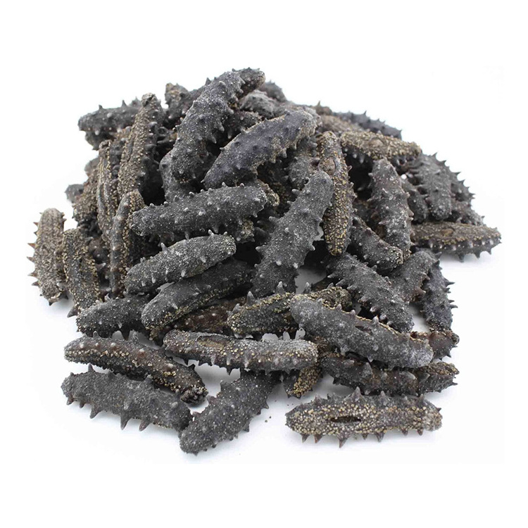 Reasonable Price Highest Quality Frozen Sea Cucumber for Sale