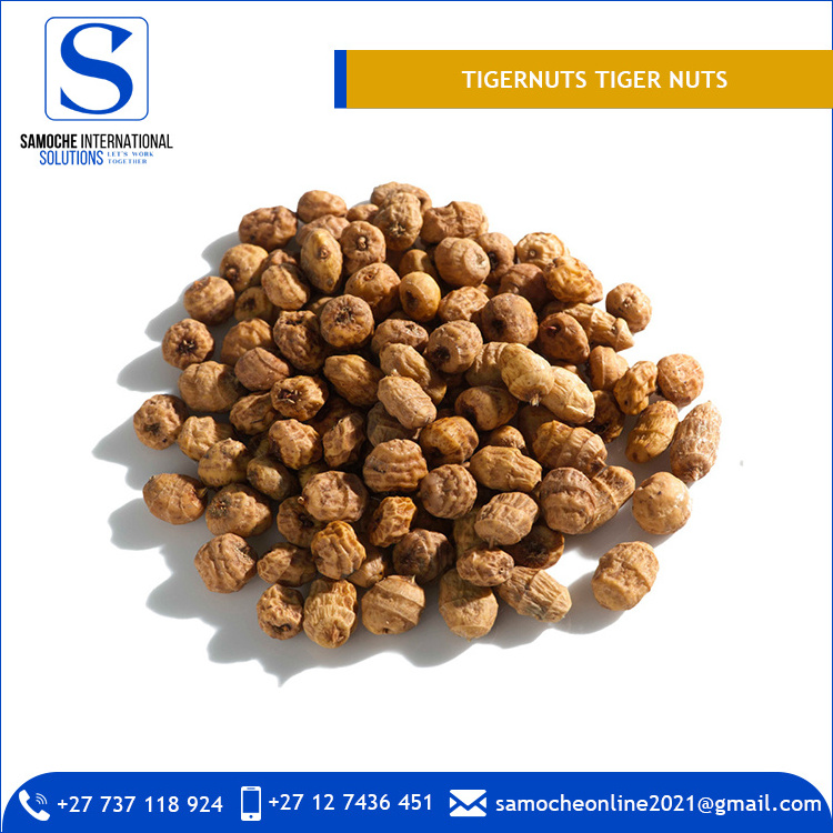 High Quality Tigernuts TIGER NUTS for Export Market