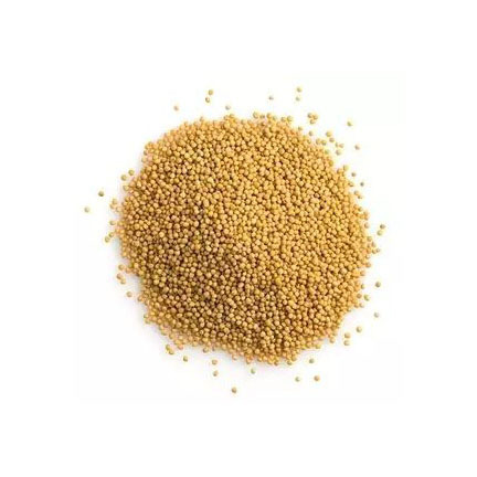 Top Quality Rice bran for animal feed exporting with the most competitive price