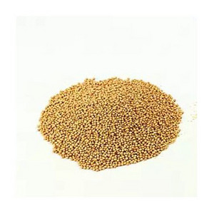 Top Quality Rice bran for animal feed exporting with the most competitive price