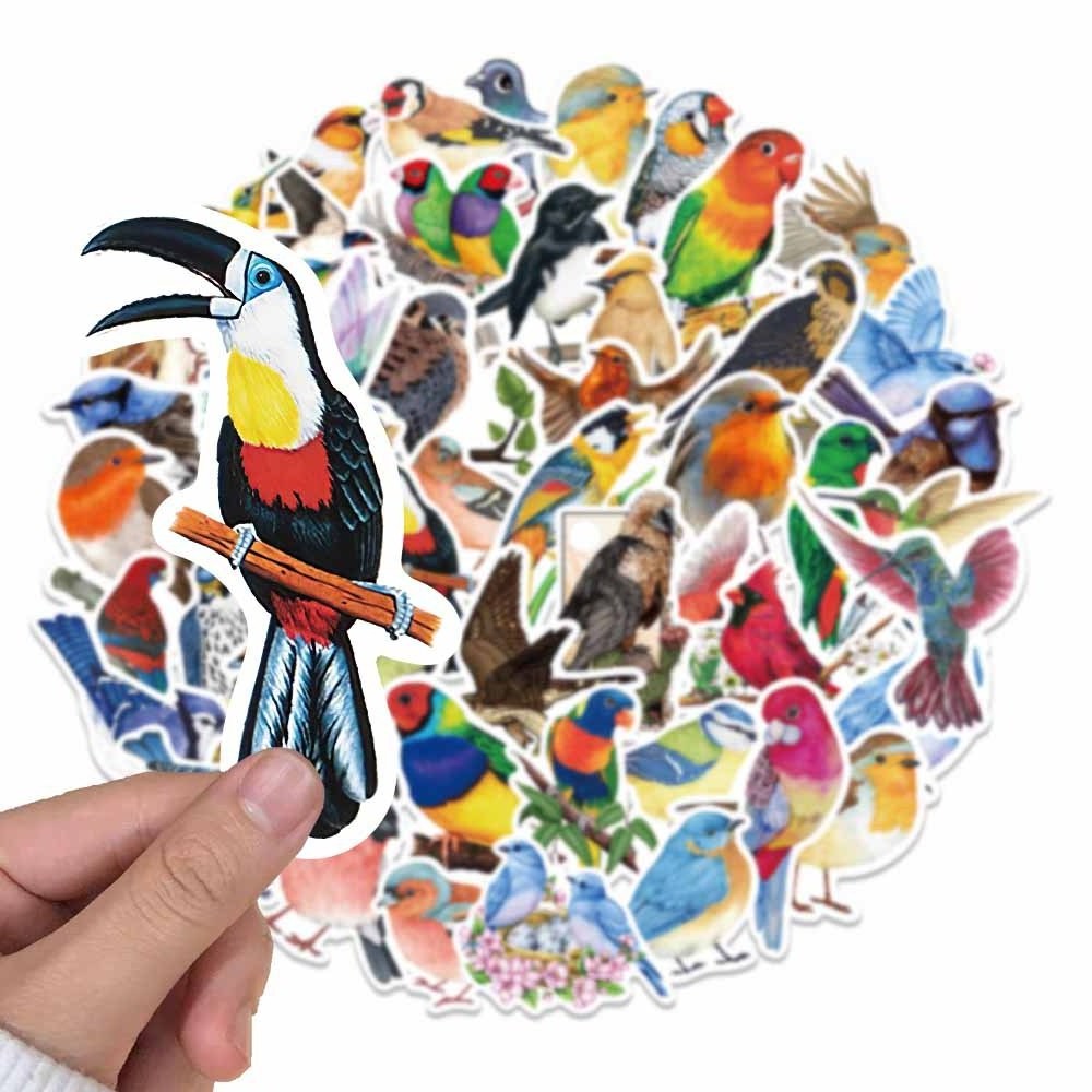 50Pcs Bird Stickers Waterproof Vinyl Bird Stickers for Kids Cartoon Bird Decals Animal for Kids Girls Water Bottles Stickers